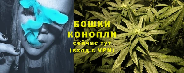 метадон Инта