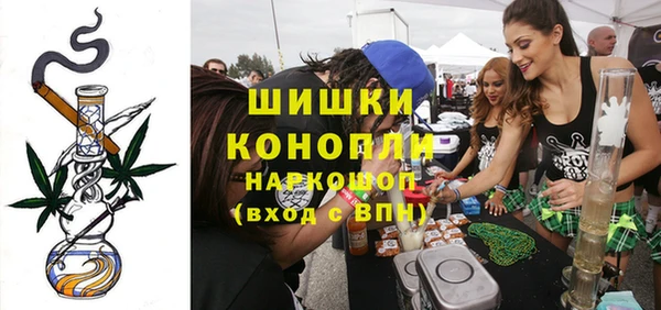 метадон Инта