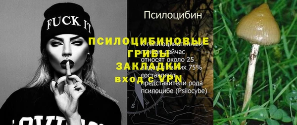 метадон Инта