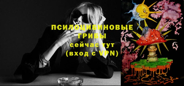 метадон Инта