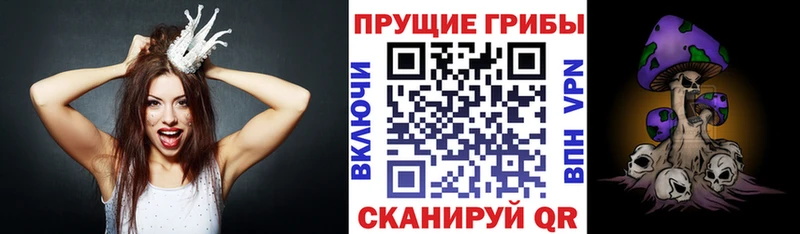 Купить  Каргат  Галлюциногенные грибы Psilocybine cubensis 